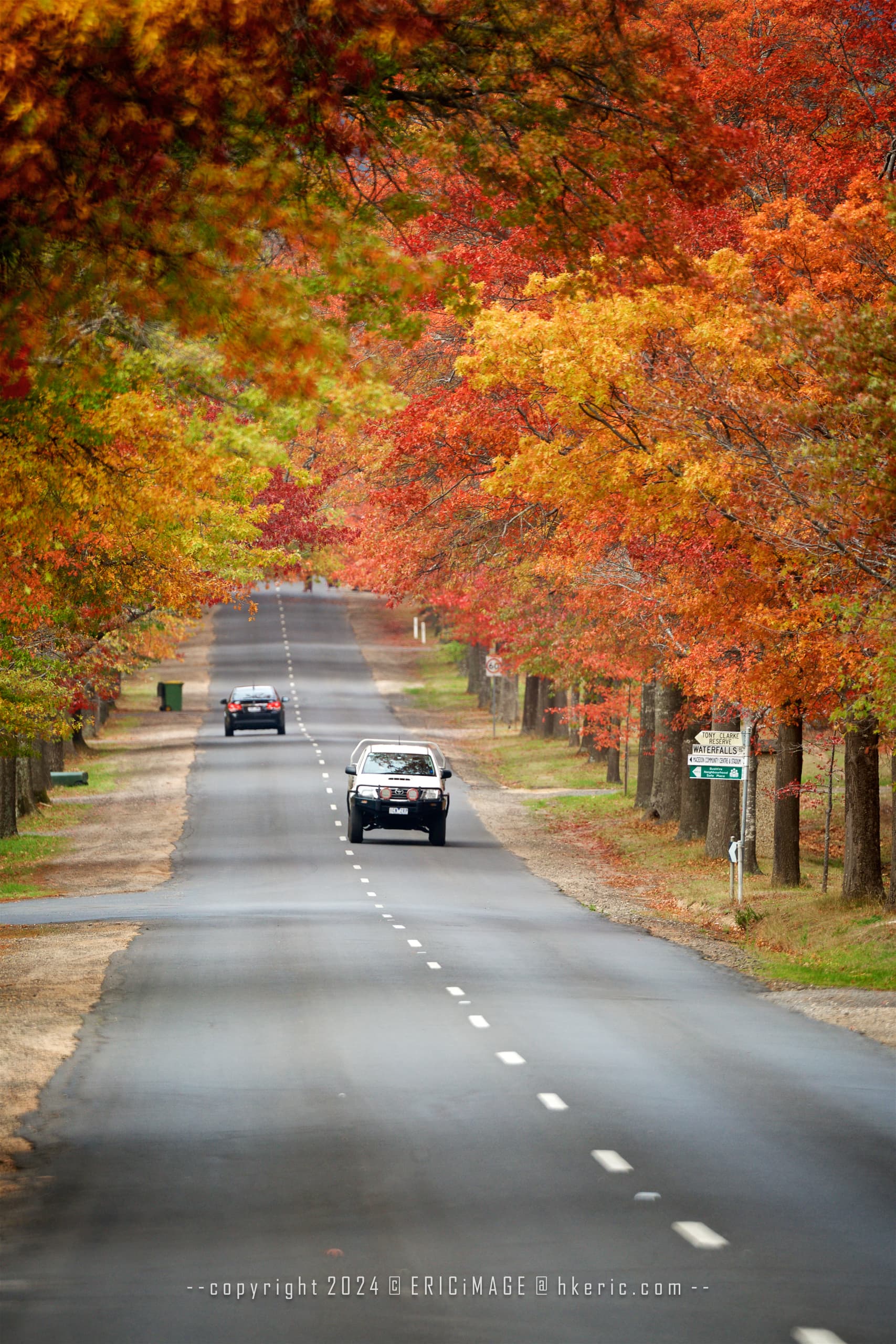 DSC 2167 Aperture preview