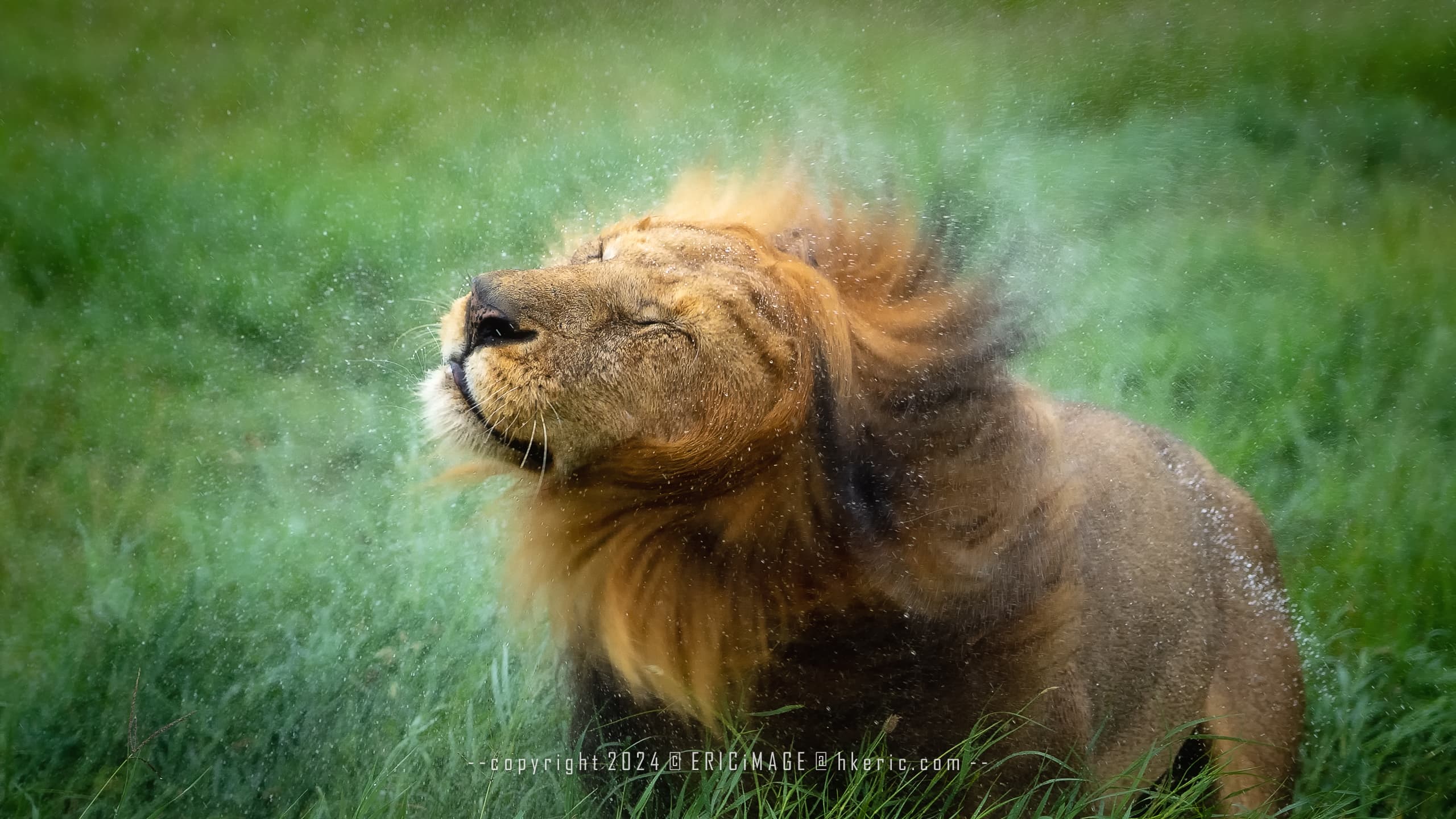 A7C02216 編輯 編輯 編輯 2